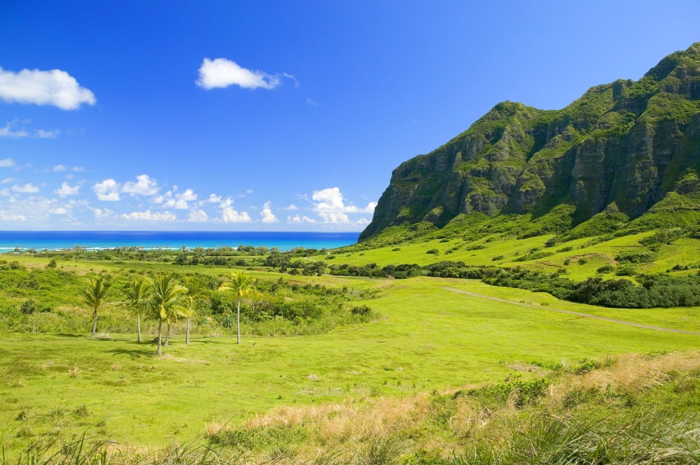 Hawaii Oahu Kualoa Ranch Mountains And Ocean In Distance Canvas Art - Dana Edmunds  Design Pics (36 x 24)