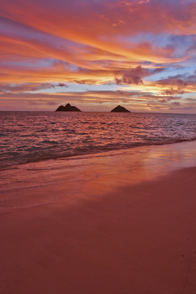 Hawaii Oahu Lanikai A Colorful Pink Sunrise Over The Mokolua Islands Canvas Art - Tomas del Amo Design Pics (24 x 36)