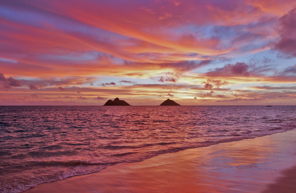 Hawaii Oahu Lanikai A Colorful Pink Sunrise Over The Mokulua Islands Canvas Art - Tomas del Amo Design Pics (18 x 12)