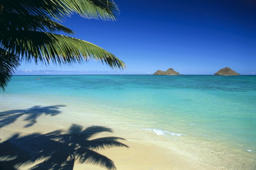Hawaii Oahu Lanikai Beach With Calm Turquoise Water Mokulua Islands Background Palm Fronds And Shadow Foreground Canvas Art - Dana Edmunds Design Pics (19 x 12)