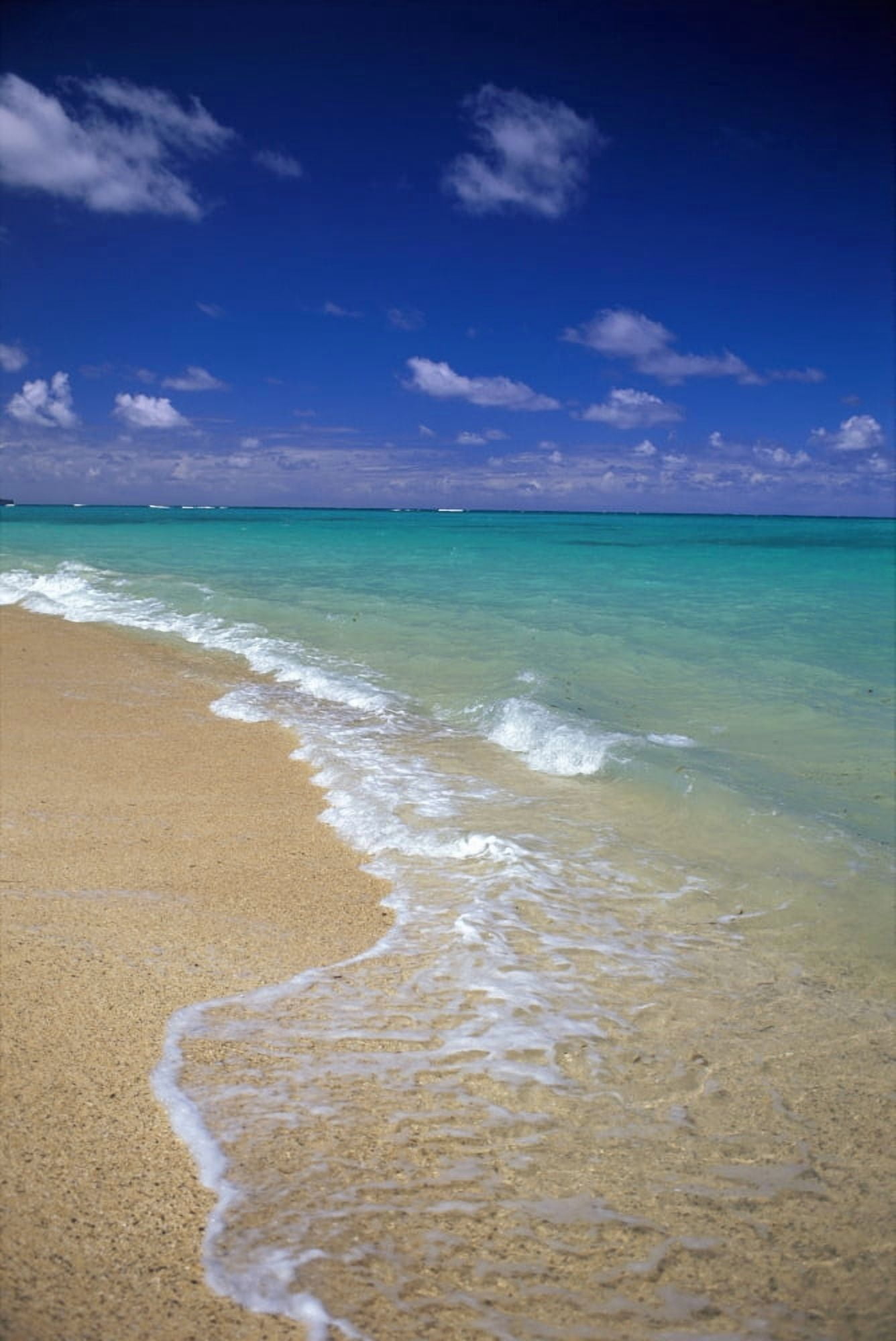 Hawaii Oahu Lanikai Beach Shoreline With Beautiful Turquoise Ocean Canvas Art - Dana Edmunds Design Pics (12 x 19)