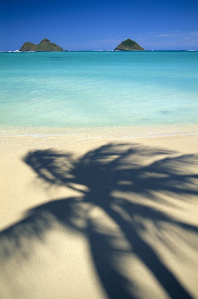 Hawaii Oahu Lanikai Beach Turquoise Ocean Mokulua Islands Shadow Of Palm B1489 Canvas Art - Dana Edmunds Design Pics (12 x 19)