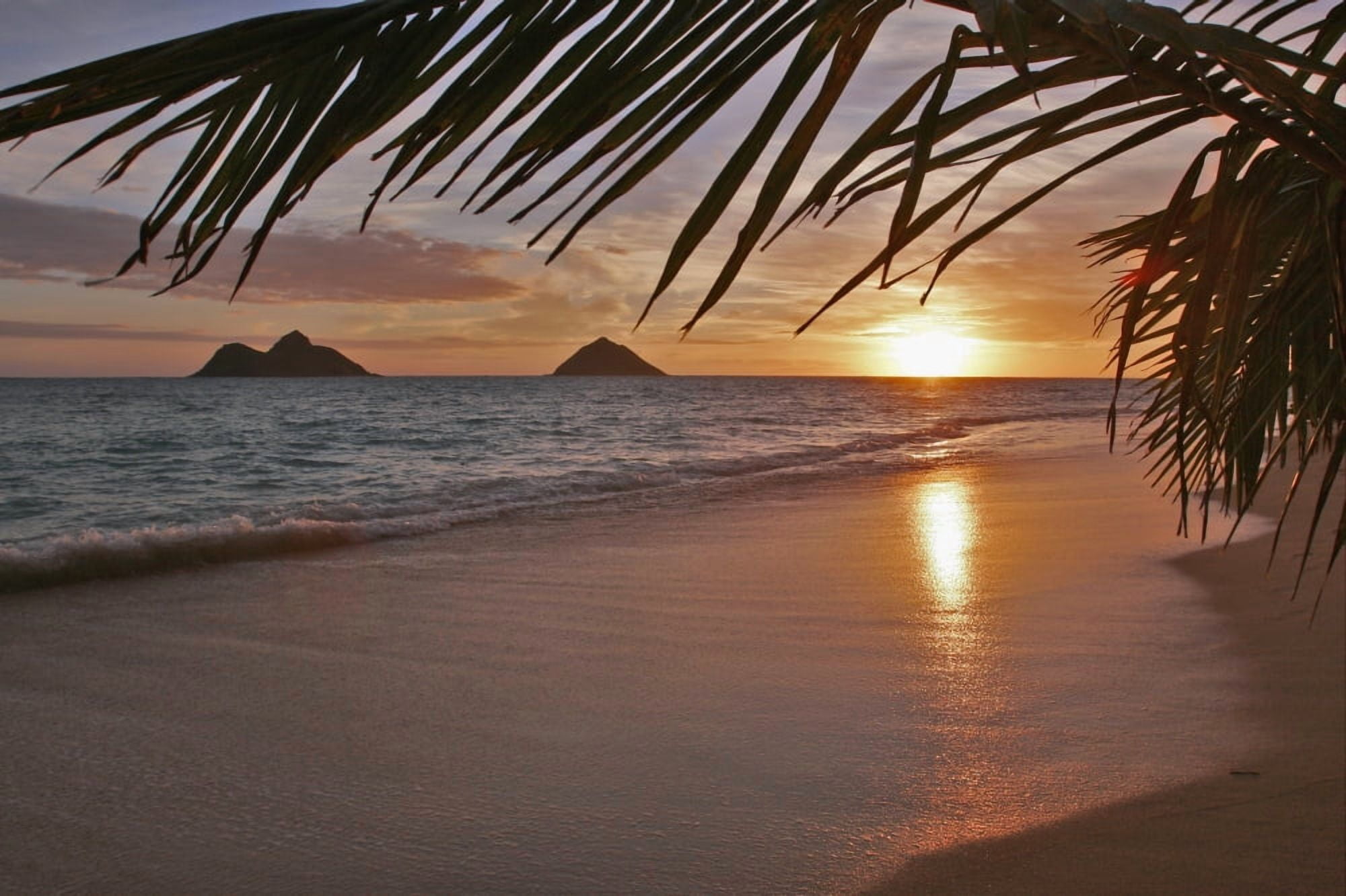 Hawaii Oahu Lanikai Early Morning With The Mokolua Islands In The Distance And A Palm Frond In The Foreground Canvas Art - Tomas del Amo Design Pics (36 x 24)