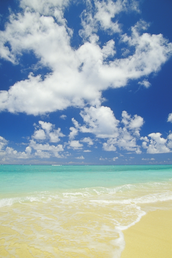 Hawaii Oahu Lanikai Gentle Wave Washing Ashore On Beach Turquoise Water And Blue Sky Canvas Art - Bill Brennan Design Pics (22 x 34)