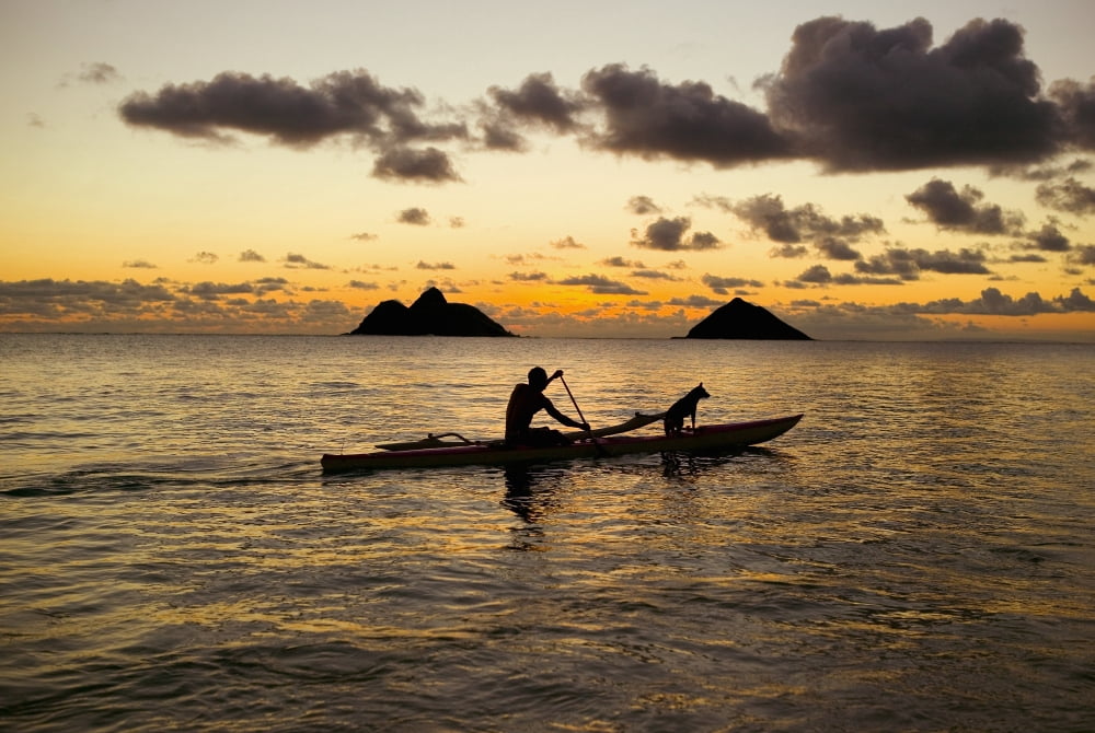 Hawaii Oahu Lanikai Man And Dog On A One-Man Outrigger Canoe At Sunset Canvas Art - Dana Edmunds Design Pics (18 x 12)