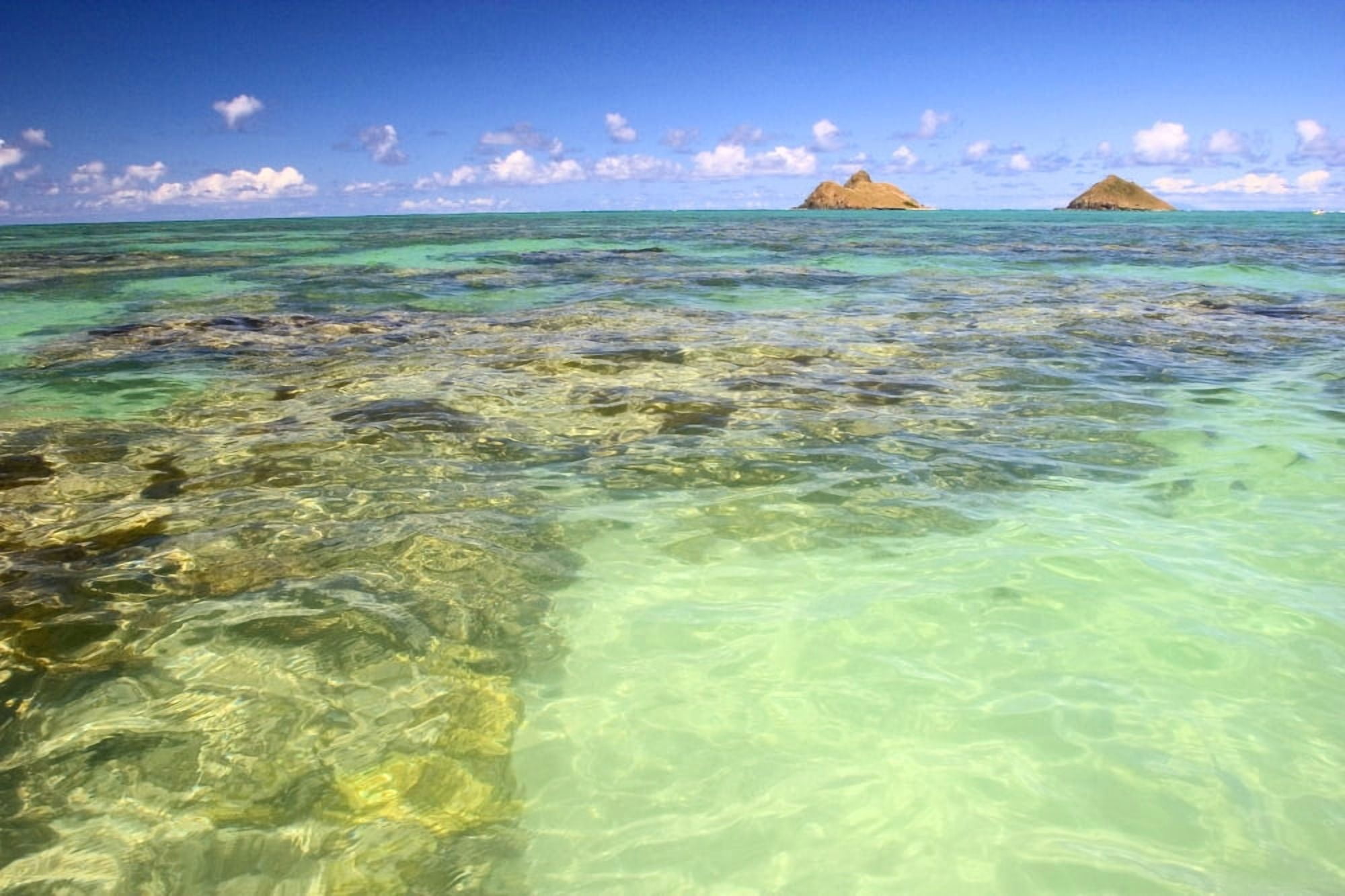 Hawaii Oahu Lanikai Mokulua Islands Coral Head Canvas Art - Tomas del Amo Design Pics (18 x 12)