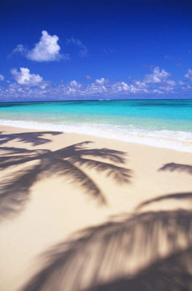 Hawaii Oahu Lanikai Tropical Beach Scene With Palm Shadow On Shoreline Sand Canvas Art - Dana Edmunds Design Pics (12 x 19)