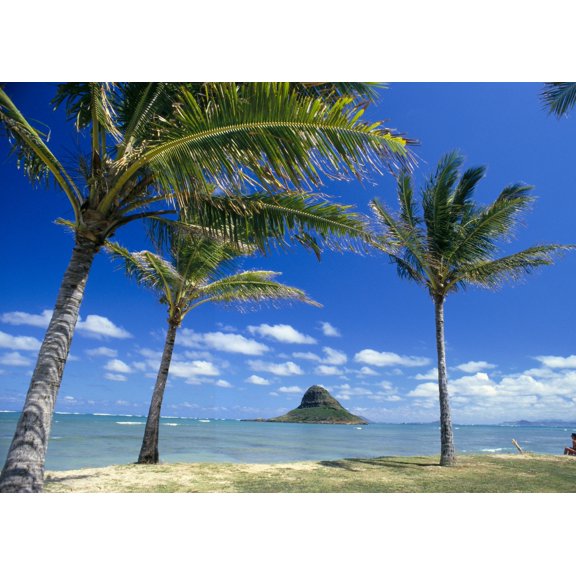 Hawaii Oahu Mokolii Island Palm Trees Beach by Peter French / Design Pics