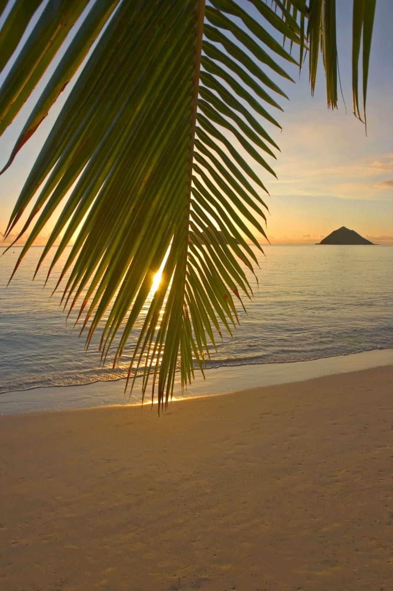 Hawaii Oahu Mokulua Islands Golden Sunrise At Lanikai Beach Palm Branch Canvas Art - Tomas del Amo Design Pics (12 x 18)
