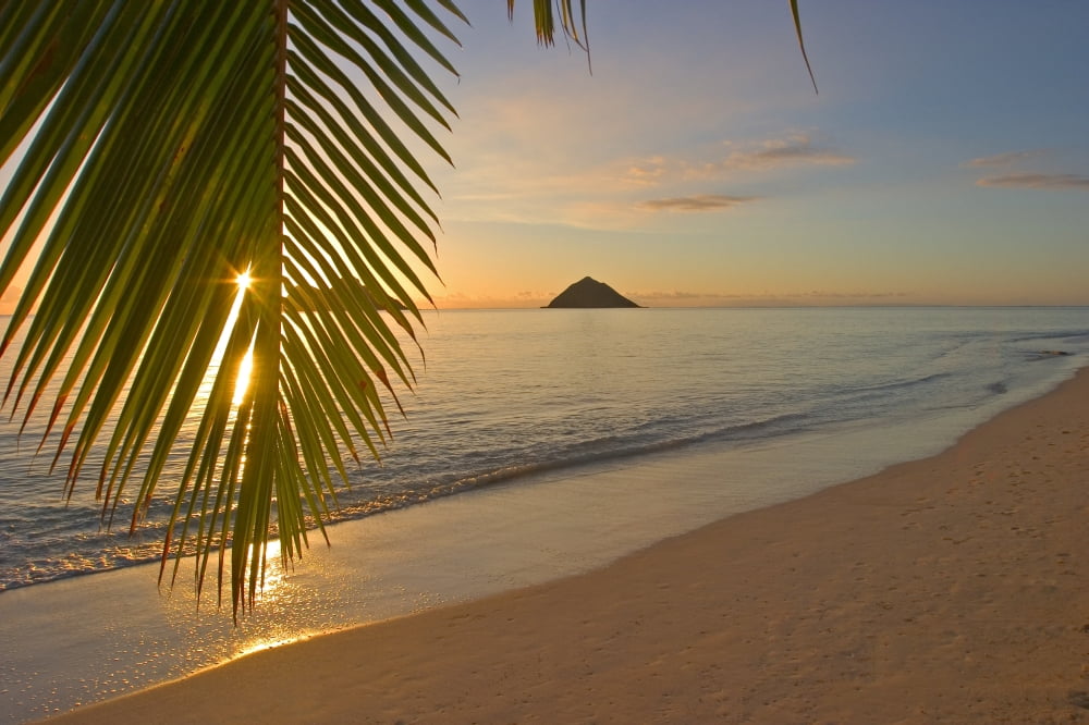 Hawaii Oahu Mokulua Islands Golden Sunrise At Lanikai Beach Palm Branch Canvas Art - Tomas del Amo Design Pics (18 x 12)