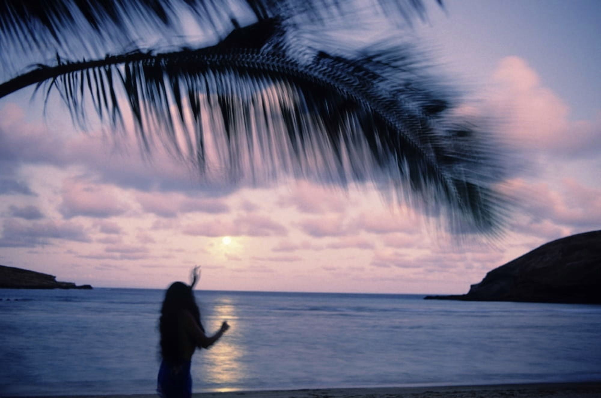 Hawaii Oahu Moonrise At Hanauma Bay Hula Dancer And Palm Frond Showing Motion Canvas Art - Liysa Swart Design Pics (34 x 22)