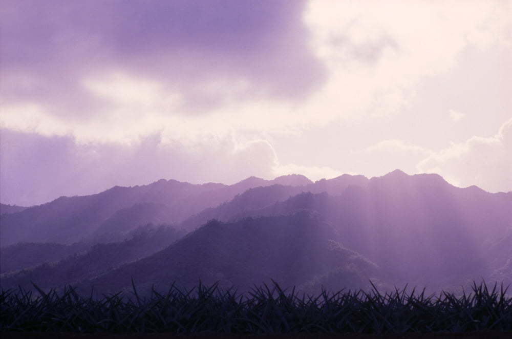 Hawaii Oahu Mount Kaala Waianae Mountain Range Sun Rays A43A Canvas Art - Joe Carini Design Pics (19 x 12)