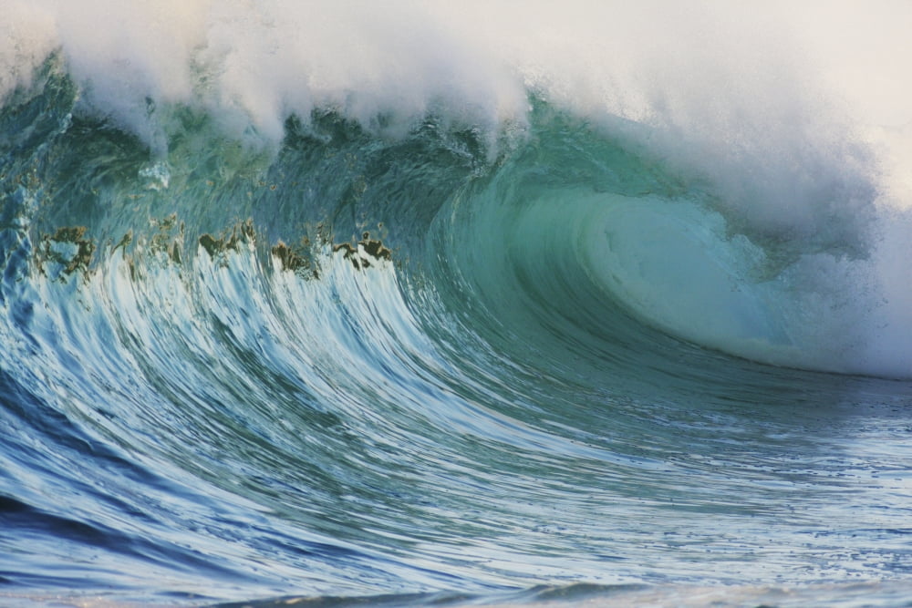 Hawaii Oahu North Shore Beautiful Wave Breaking Canvas Art - Vince Cavataio Design Pics (19 x 12)