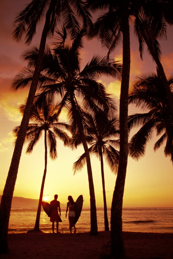 Hawaii Oahu North Shore Couple Walk Along Shoreline Surfboard Palms At Sunset Golden Silhouette Canvas Art - Dana Edmunds Design Pics (12 x 19)