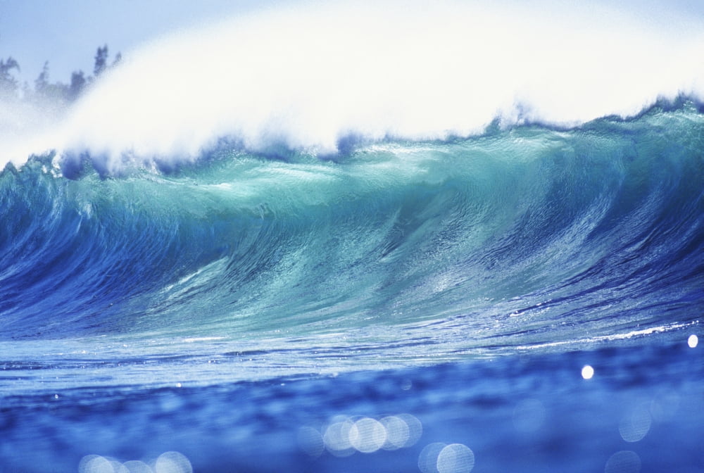 Hawaii Oahu North Shore Curling Wave At World Famous Pipeline Canvas Art - Vince Cavataio Design Pics (19 x 12)