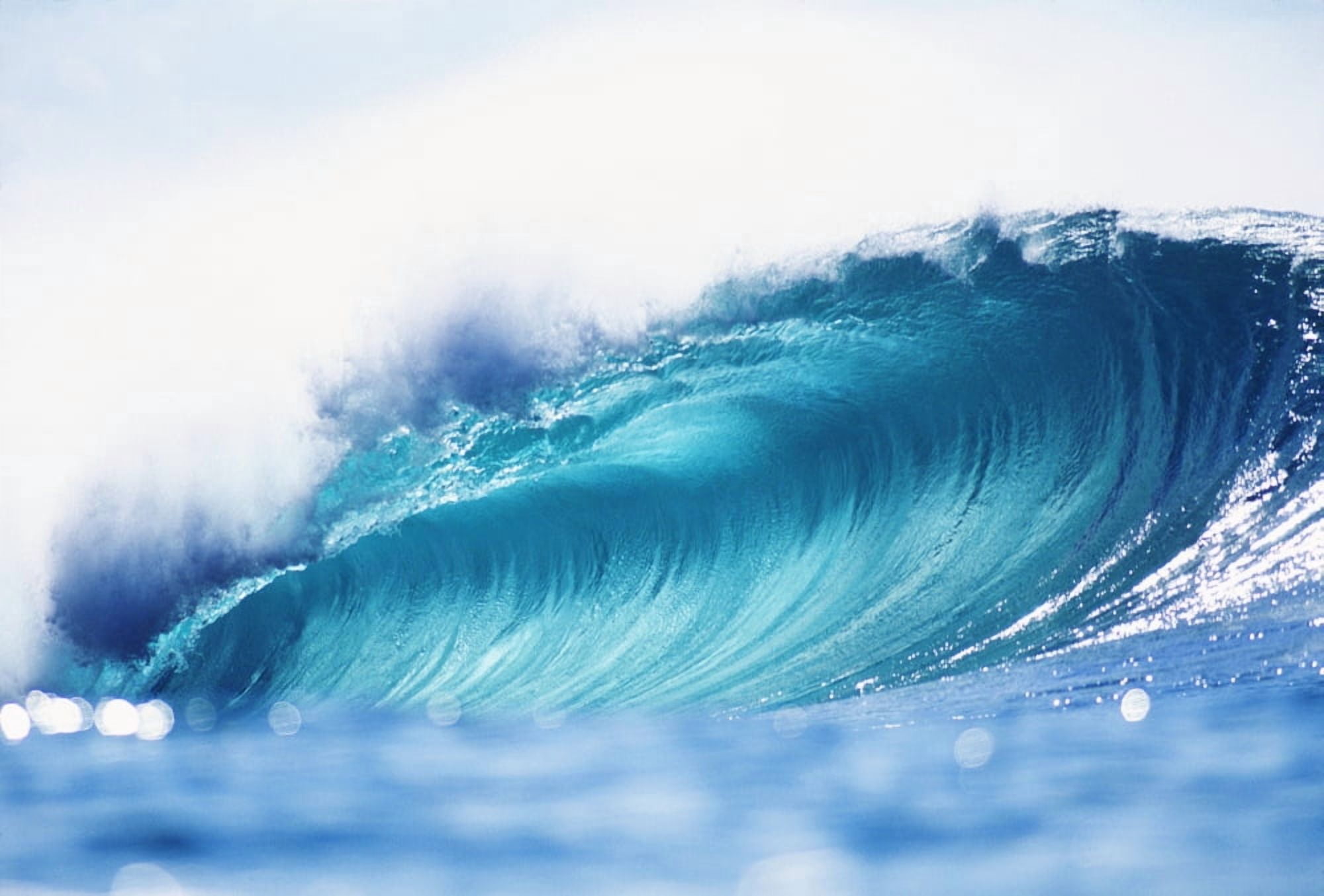 Hawaii Oahu North Shore Curling Wave At World Famous Pipeline Canvas Art - Vince Cavataio Design Pics (38 x 24)