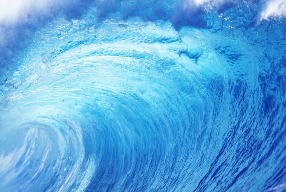 Hawaii Oahu North Shore Curling Wave At World Famous Pipeline Canvas Art - Vince Cavataio Design Pics (38 x 24)