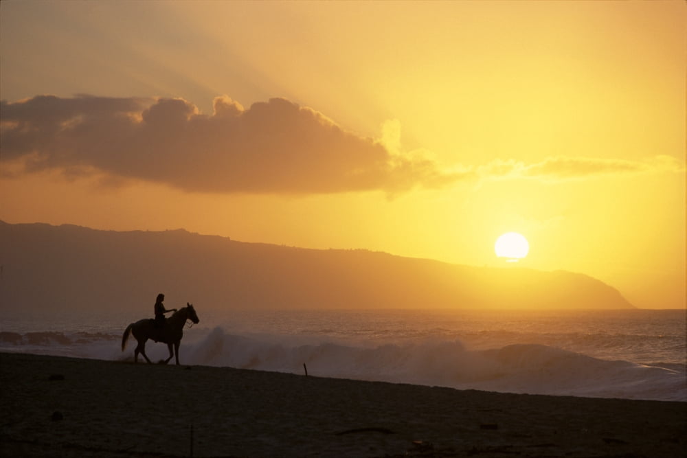 Hawaii Oahu North Shore Girl On Horseback At Sunset On Beach Distance A43F Canvas Art - Liysa Swart Design Pics (19 x 12)