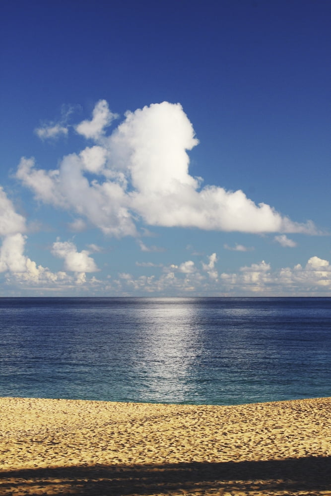 Hawaii Oahu North Shore In The Morning Canvas Art - Vince Cavataio Design Pics (12 x 18)