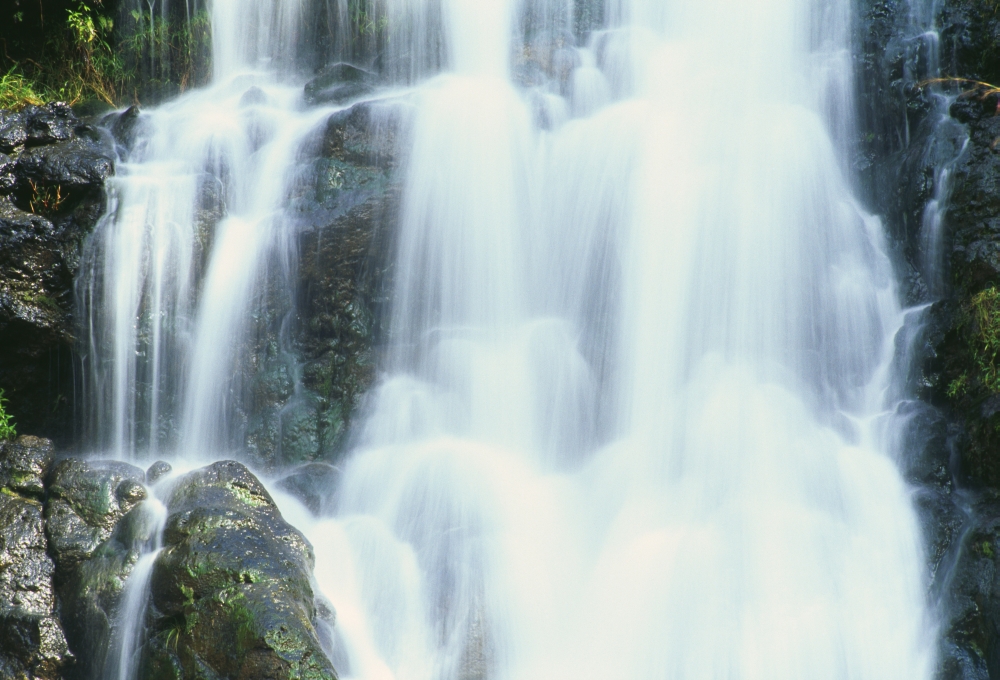 Hawaii Oahu North Shore Waimea Falls Park Waterfall Close-Up Canvas Art - Bill Brennan Design Pics (18 x 12)