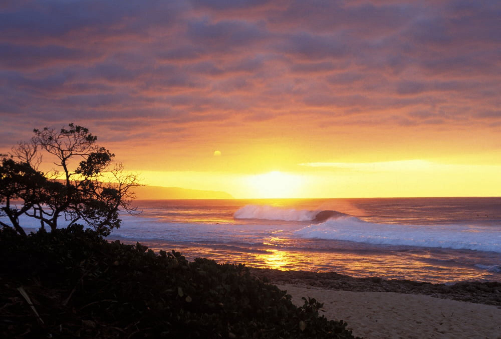 Hawaii Oahu North Shore Waves Crashing At Sunset Tree Silhouetted Canvas Art - Vince Cavataio Design Pics (17 x 11)