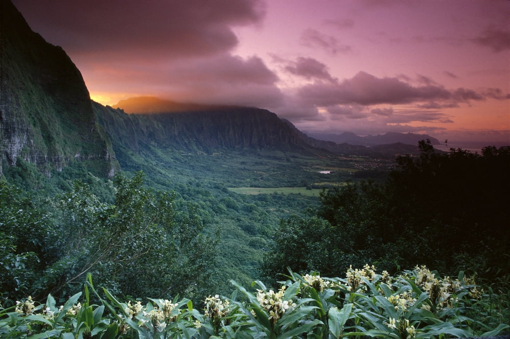 Hawaii Oahu Nuuanu Pali State Park Koolau Mountains Ginger Foreground Twilight A43G Canvas Art - Brent Black Design Pics (38 x 24)