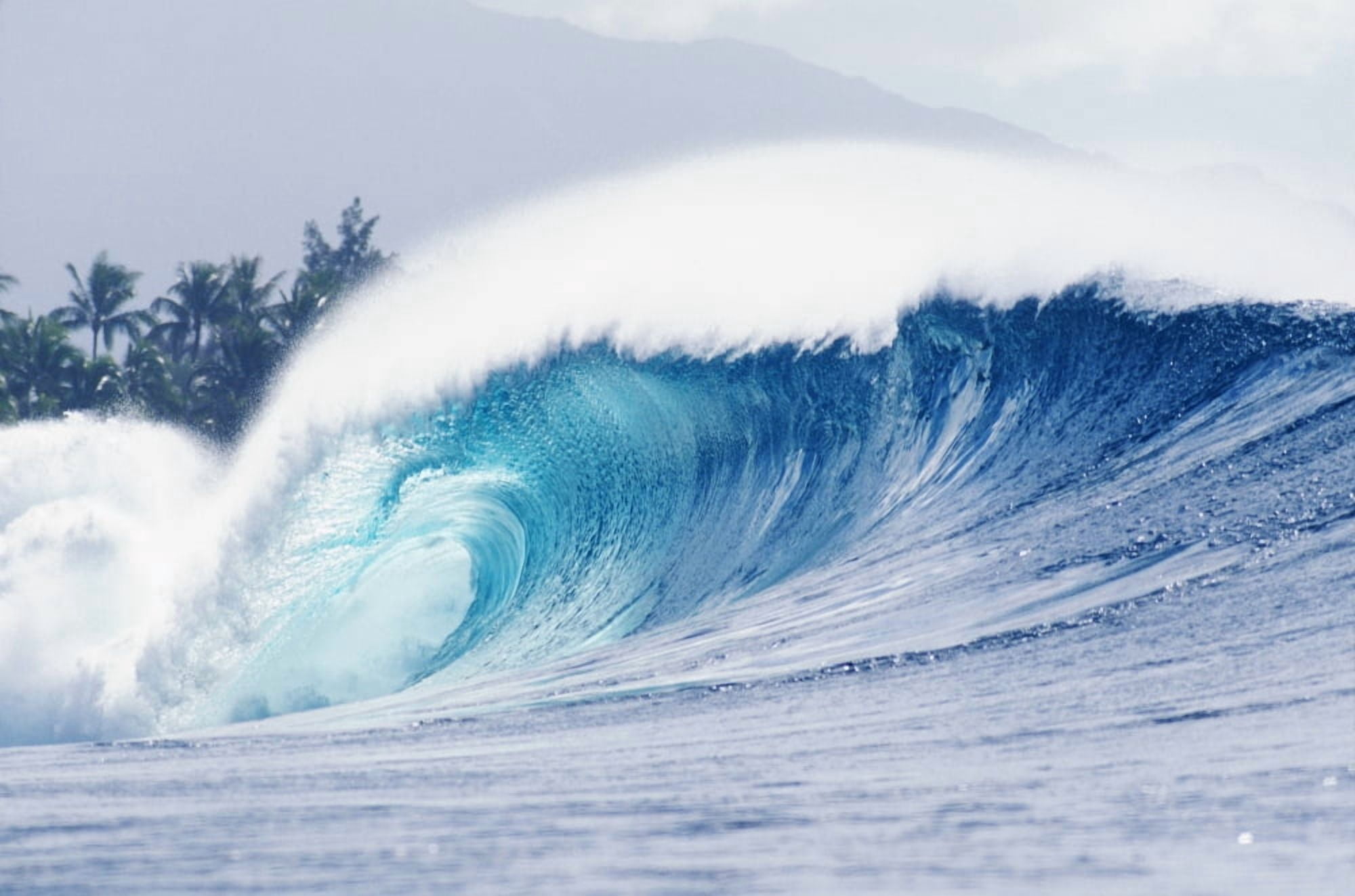 Hawaii Oahu Perfect Wave At Pipeline Canvas Art - Vince Cavataio Design Pics (38 x 24)
