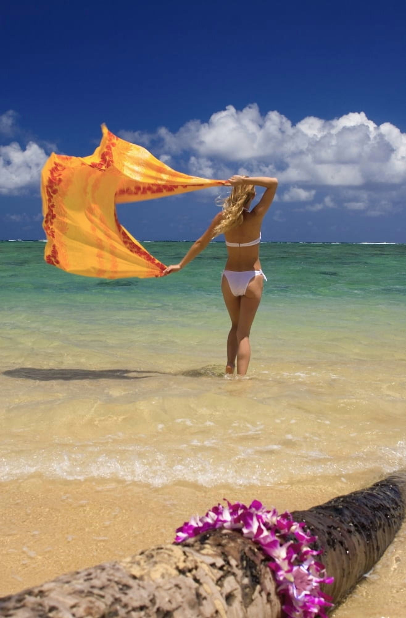 Hawaii Oahu Punaluu Beach Beautiful Young Woman Standing In Ocean Holding Pareo Lei In Foreground Canvas Art - Tomas del Amo Design Pics (22 x 34)