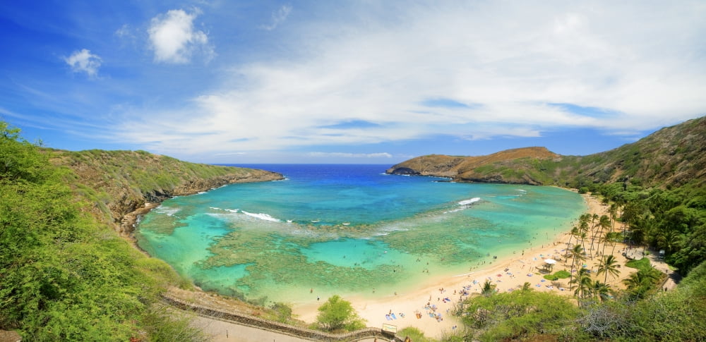 Hawaii Oahu Seascape Overlooking Hanauma Bay Canvas Art - M Swiet Productions Design Pics (44 x 23)