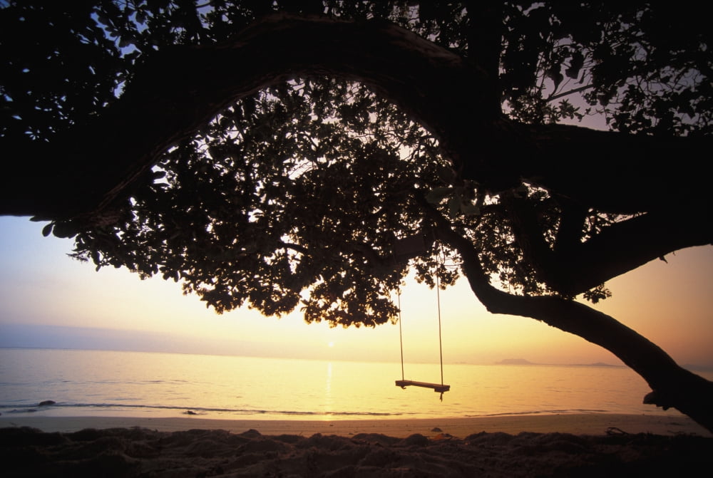 Hawaii Oahu Tree Swing Silhouetted Against Beach And Calm Ocean At Sunrise Canvas Art - Dana Edmunds Design Pics (17 x 12)