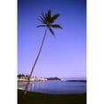 thumbnail image 1 of Hawaii Oahu View Of Diamond Head During Purple Blue Sunset Palm In Foreground Calm Water Poster Print, 1 of 3