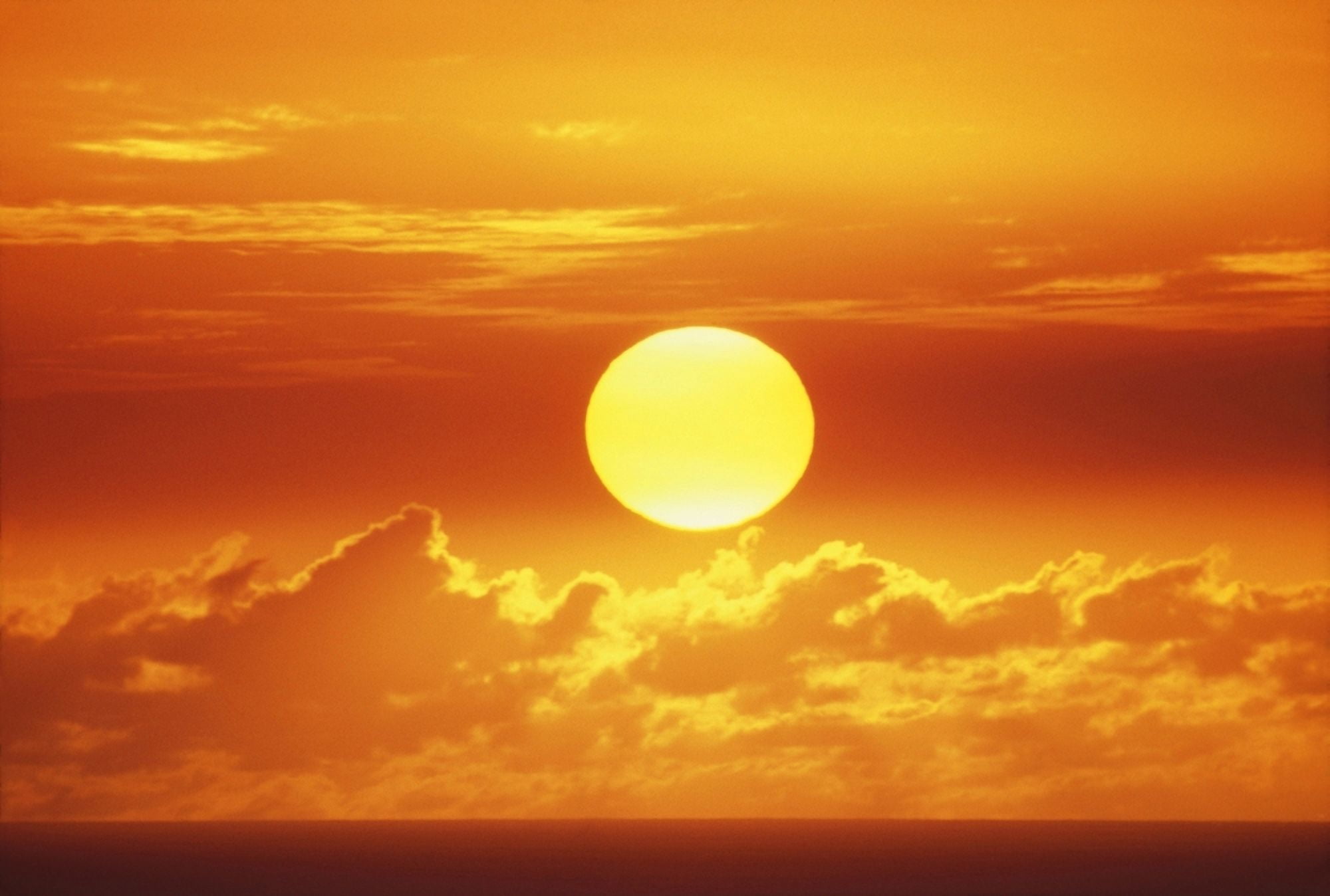 Hawaii Oahu Waikiki View Of Huge Orange Sun Sinking Towards The Horizon Canvas Art - Chris Abraham Design Pics (19 x 12)
