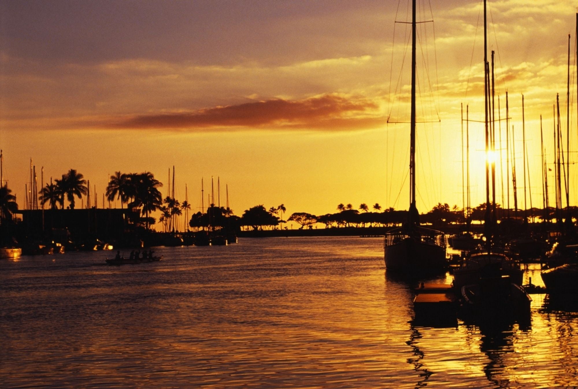 Hawaii Oahu Waikiki Yacht Harbor At Sunset Canvas Art - Chris Abraham Design Pics (19 x 12)