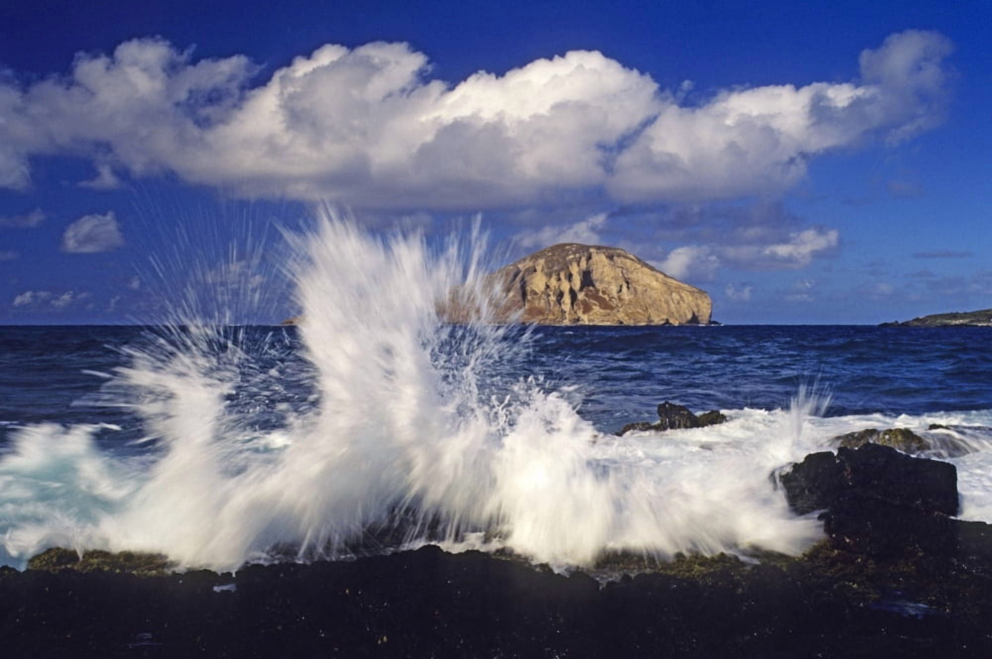 Hawaii Oahu Waves Breaking On Lava Rock Coast At Makapuu With Rabbit Island In The Distance Canvas Art - Carl Shaneff Design Pics (17 x 11)