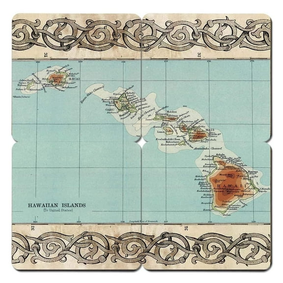 Torched Hawaii Old World Map Coaster Drink Beer Coaster 4"x4" Multicolor
