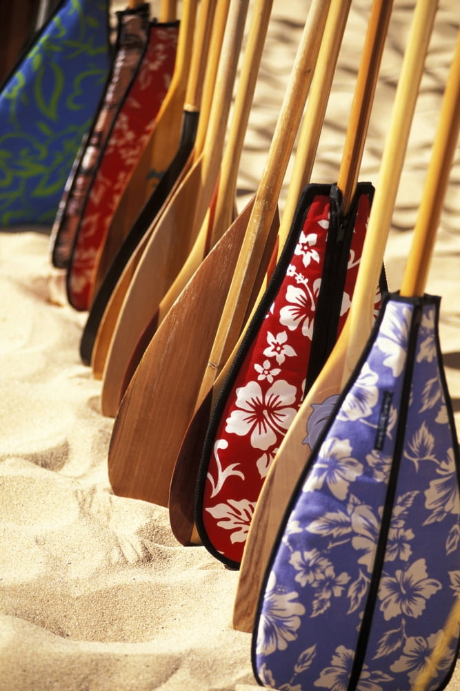 Hawaii Paddles With Aloha Print Covers Lined Up Across Sand Canvas Art - Dana Edmunds Design Pics (22 x 34)