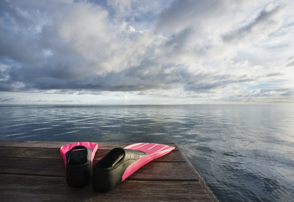 Hawaii Pink Fins On Dock At Sunset Canvas Art - M Swiet Productions Design Pics (18 x 12)