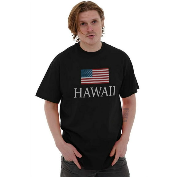Hawaii Pride American Flag HI USA Men's Graphic T Shirt Tees Brisco Brands L