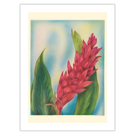 Hawaii Red Ginger - Vintage Hawaiian Airbrush Art by Tip Freeman c.1940s - Bamboo Fine Art 290gsm Paper (Unframed) 12x16in
