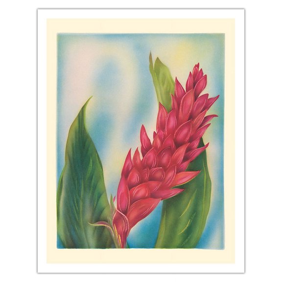 Hawaii Red Ginger - Vintage Hawaiian Airbrush Art by Tip Freeman c.1940s - Fine Art Matte Paper Print (Unframed) 11x14in