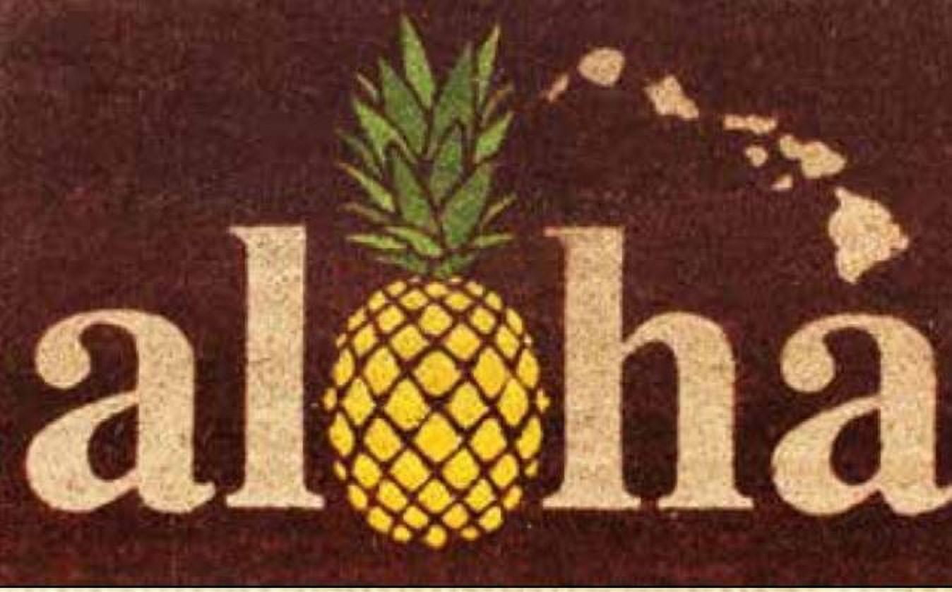 Hawaii Rugs/mats Mat Pineapple