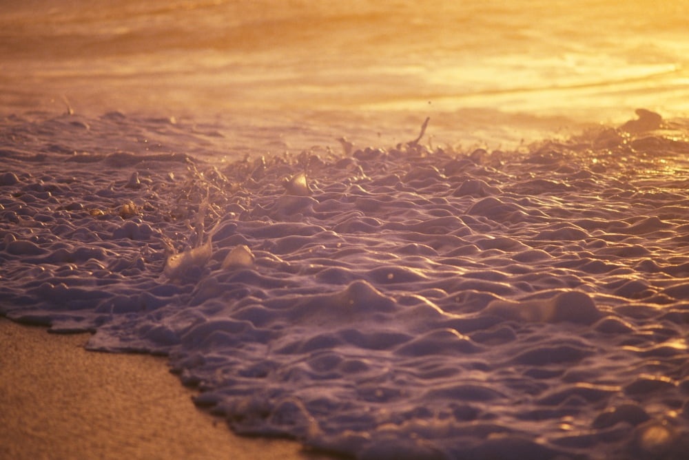Hawaii Sea Foam At Shoreline Sunset Canvas Art - Liysa Swart Design Pics (38 x 24)