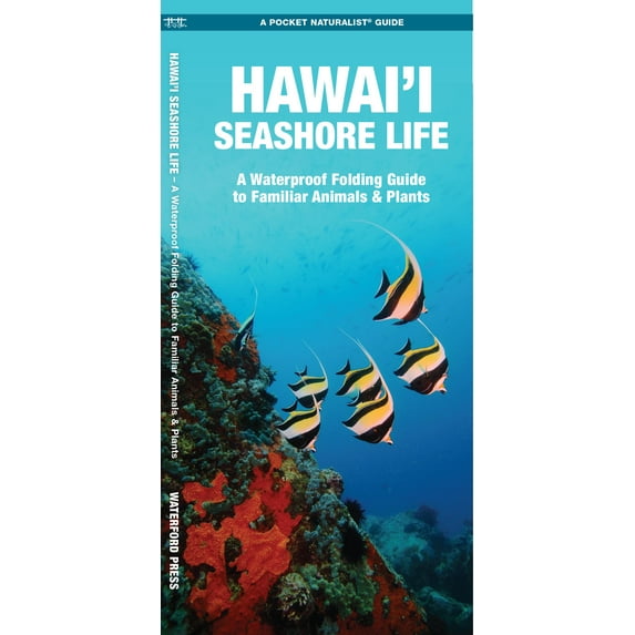 Hawaii Seashore Life : A Folding Pocket Guide to Familiar Animals & Plants (Edition 2) (Paperback)