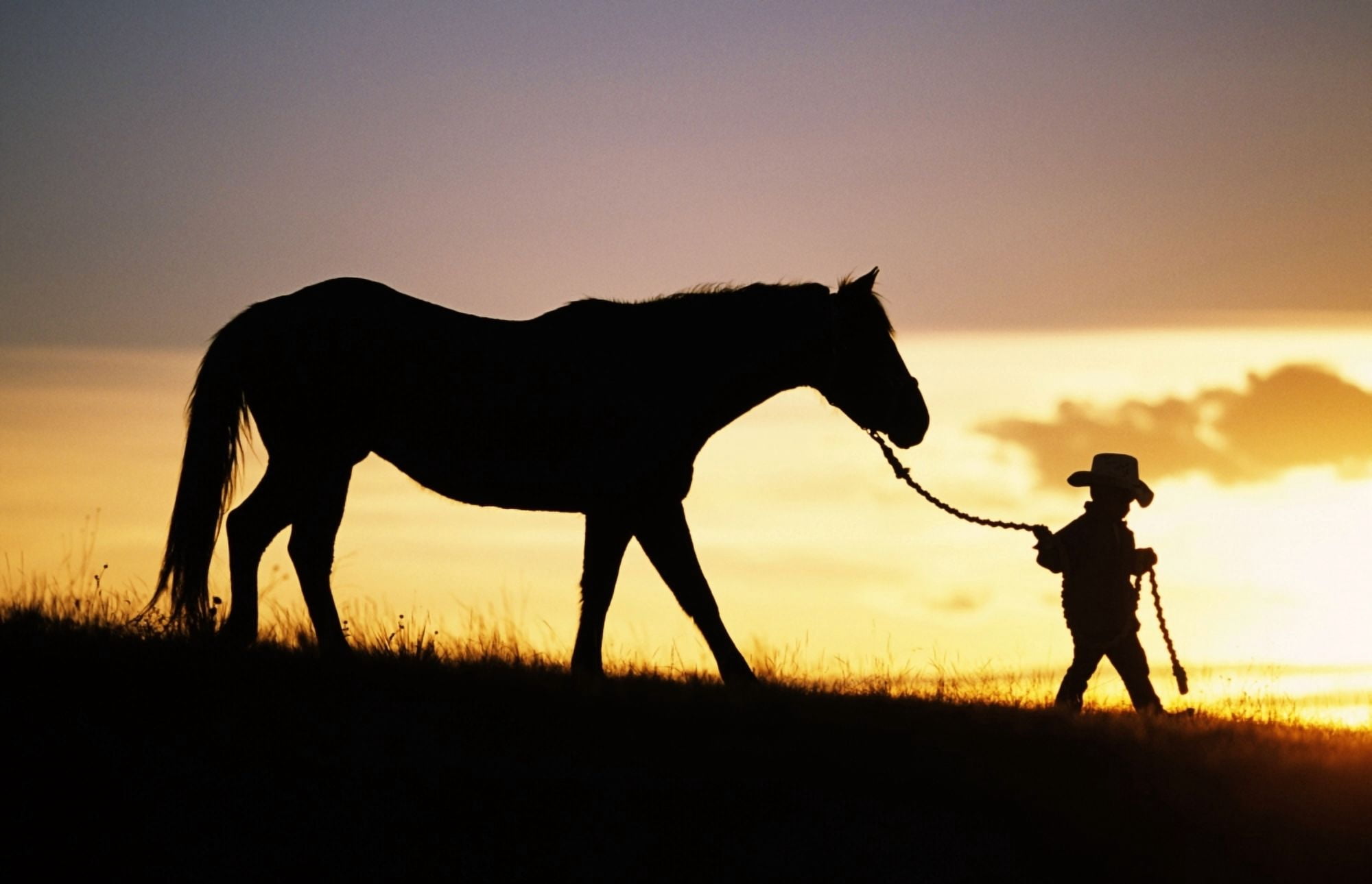 Hawaii Silhouette Of Boy Leading Horse Along Grassy Hillside At Sunset Canvas Art - Ron Dahlquist Design Pics (34 x 22)