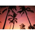 thumbnail image 1 of Hawaii  Silhouette Of Palm Trees At Sunset  Pink Sky. Poster Print, 1 of 2