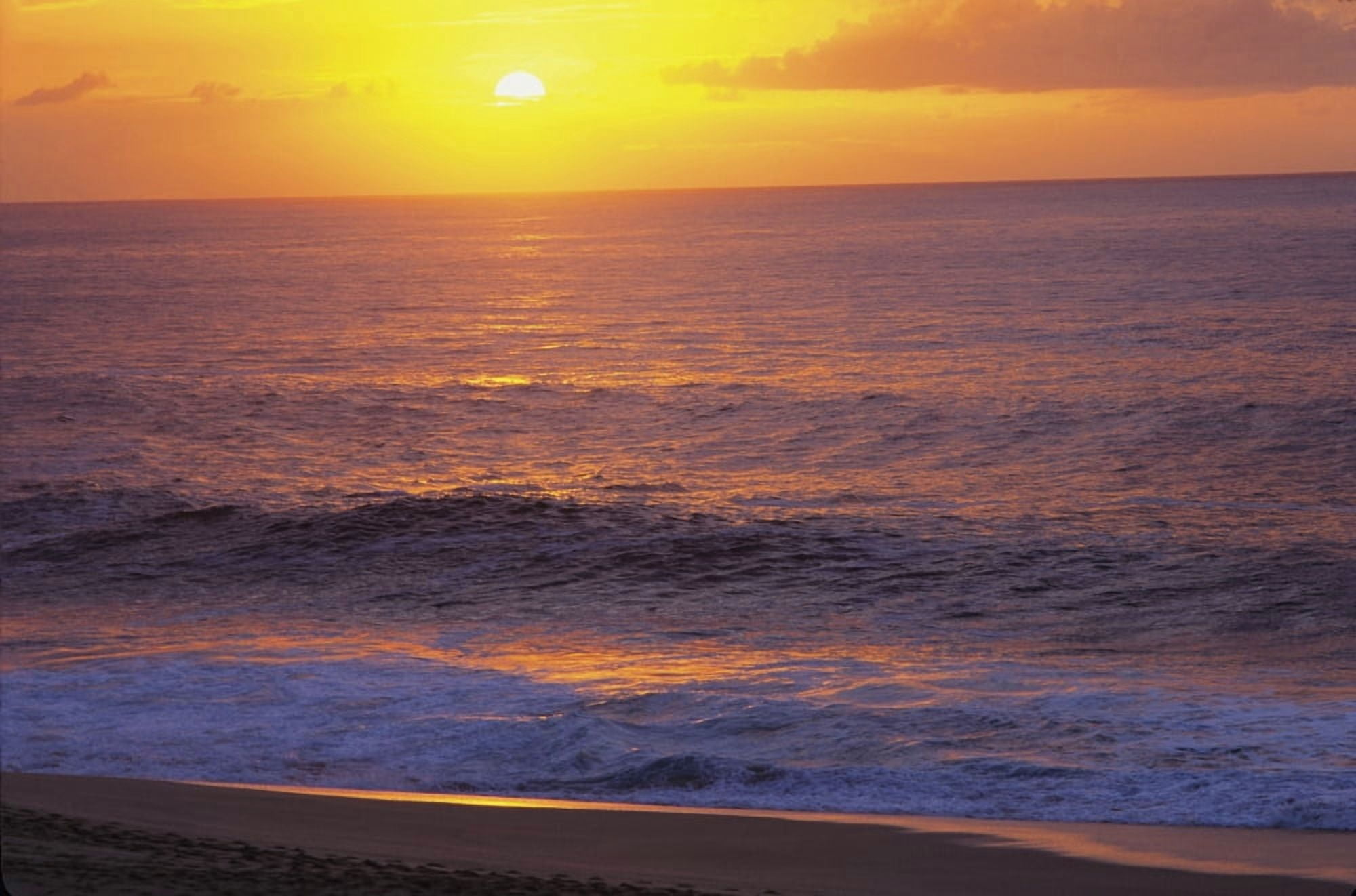 Hawaii Sunset At The Beach Canvas Art - Liysa Swart Design Pics (17 x 11)