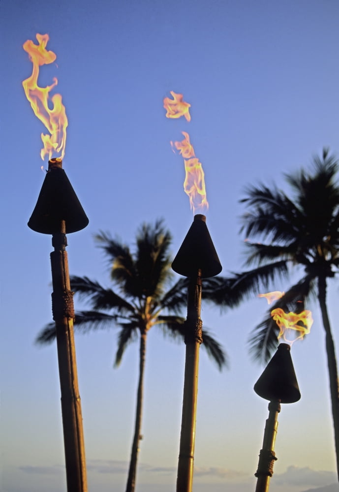 Hawaii Tiki Torches Lit At Dusk Palm Trees And Blue Sky Canvas Art - Carl Shaneff Design Pics (12 x 17)