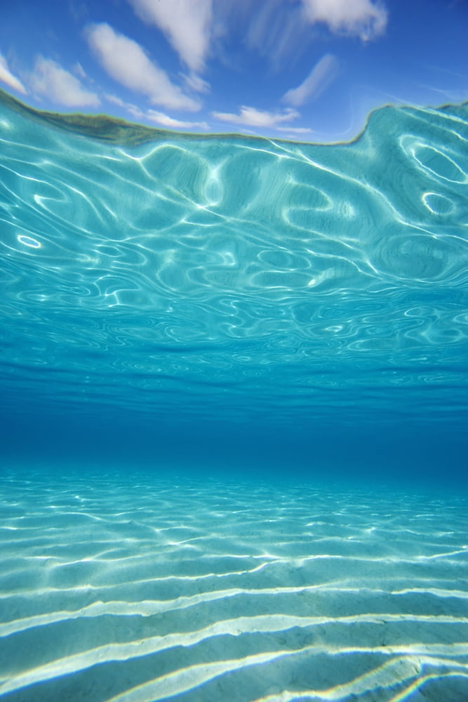 Hawaii Turquoise Water Shimmering In The Sunlight Canvas Art - M Swiet Productions Design Pics (24 x 36)