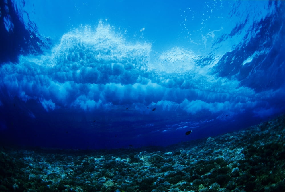Hawaii Underwater View Of Wave Breaking Over Coral Reef Canvas Art - Dave Fleetham Design Pics (34 x 22)