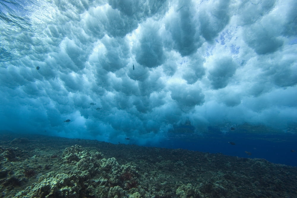 Hawaii Underwater View Of Wave Breaking Over Shallow Reef Canvas Art - Dave Fleetham Design Pics (34 x 22)